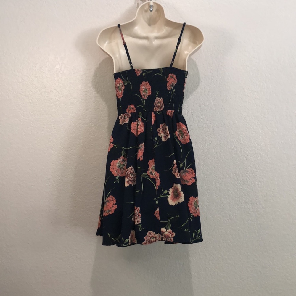 Bailey Blue - Picture 5 of 5